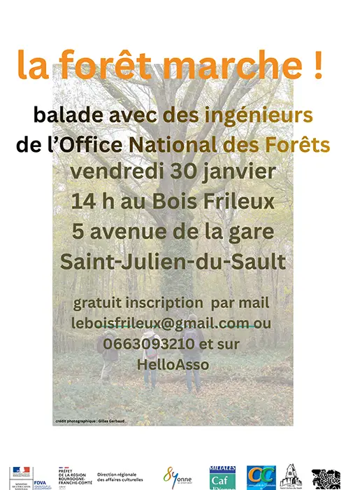 la foret marche balade onf saint julien du sault yonne 89