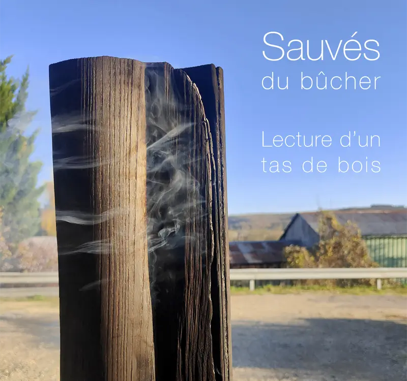 exposition francois lelievre st julien du sault yonne bourgogne t