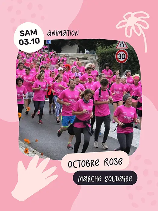 octobre rose marches solidaires yonne nord